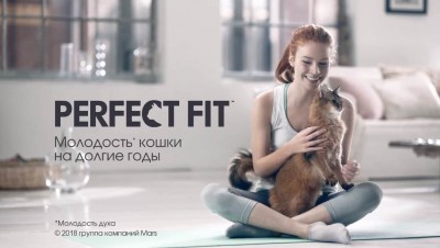 Perfect Fit - Йога