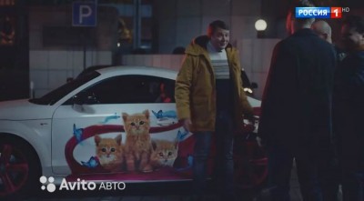 Avito - Котята